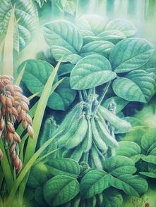 難得一見(jiàn)的2.5米植物科學(xué)畫精品巨作 禾本科雜草（草）震撼亮相中國(guó)館