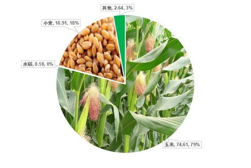 禾本科雜草（草）的識(shí)別與防治 基于中國(guó)農(nóng)業(yè)大數(shù)據(jù)的洞察